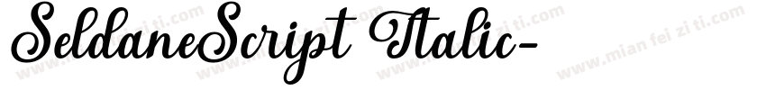 SeldaneScript Italic字体转换
